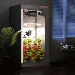 Spider Farmer 6" Clip-On Fan For Indoor Plants -Ed's plant shop spider farmer 6 clip on fan for indoor plants 547480