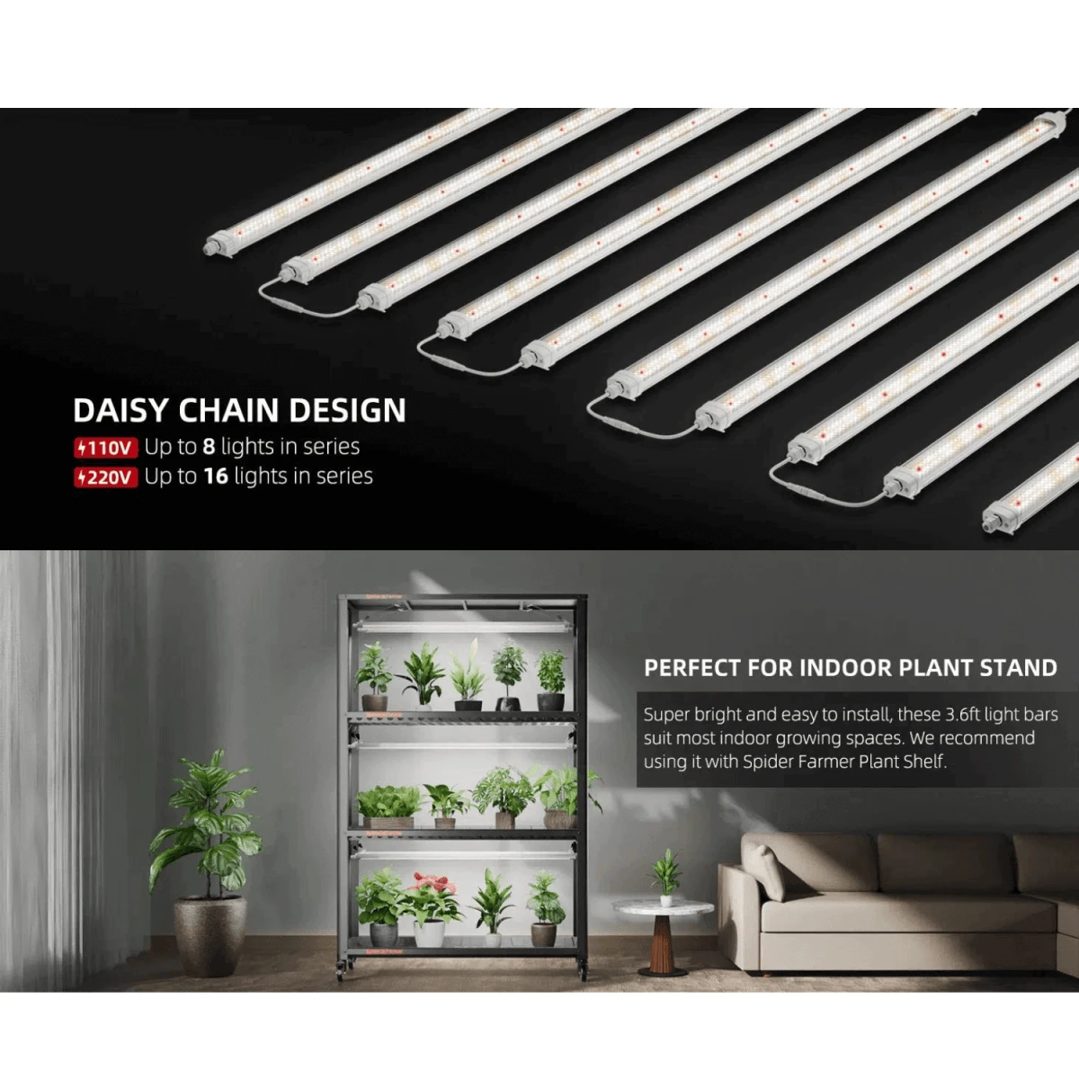 Spider Farmer Glow80 80W Full Spectrum LED Grow Light | Sunlike Spectrum For All Growth Cycles 13 Spider Farmer Glow80 80W Full Spectrum LED Grow Light | Sunlike Spectrum For All Growth Cycles - Image 11