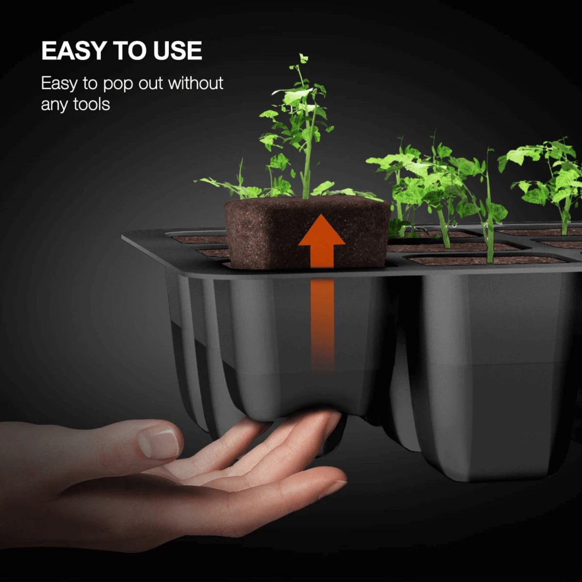 Spider Farmer Seed Starting Trays (4-Pack) | 12-Cell Trays With Domes For Optimal Germination 9 Spider Farmer Seed Starting Trays (4-Pack) | 12-Cell Trays With Domes For Optimal Germination - Image 7