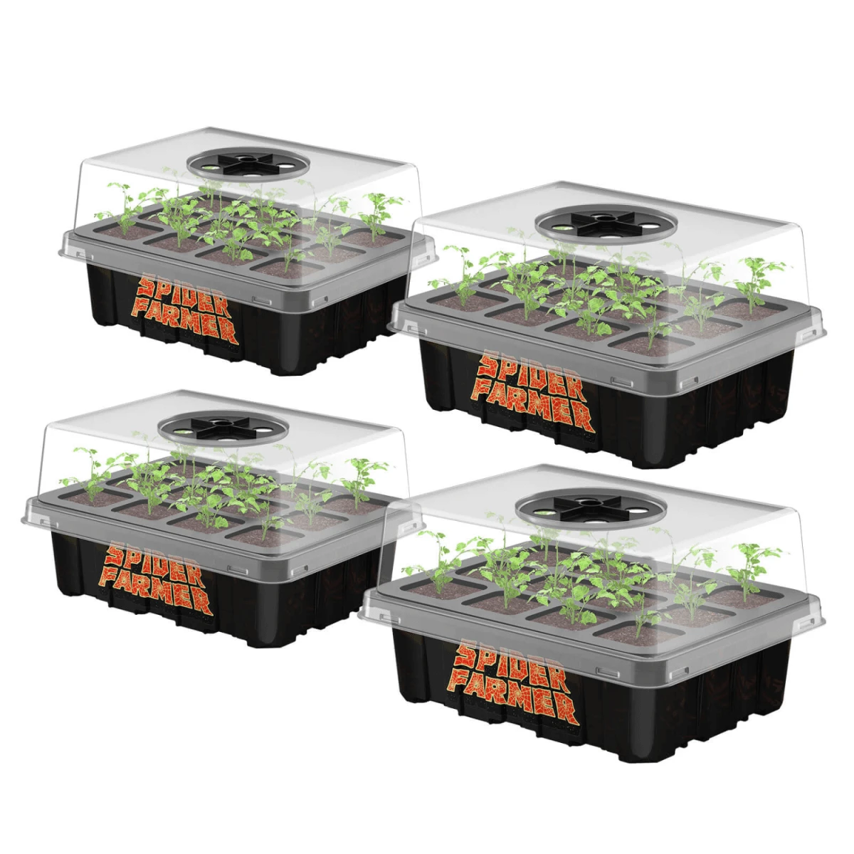 Spider Farmer Seed Starting Trays (4-Pack) | 12-Cell Trays With Domes For Optimal Germination 4 Spider Farmer Seed Starting Trays (4-Pack) | 12-Cell Trays With Domes For Optimal Germination - Image 2