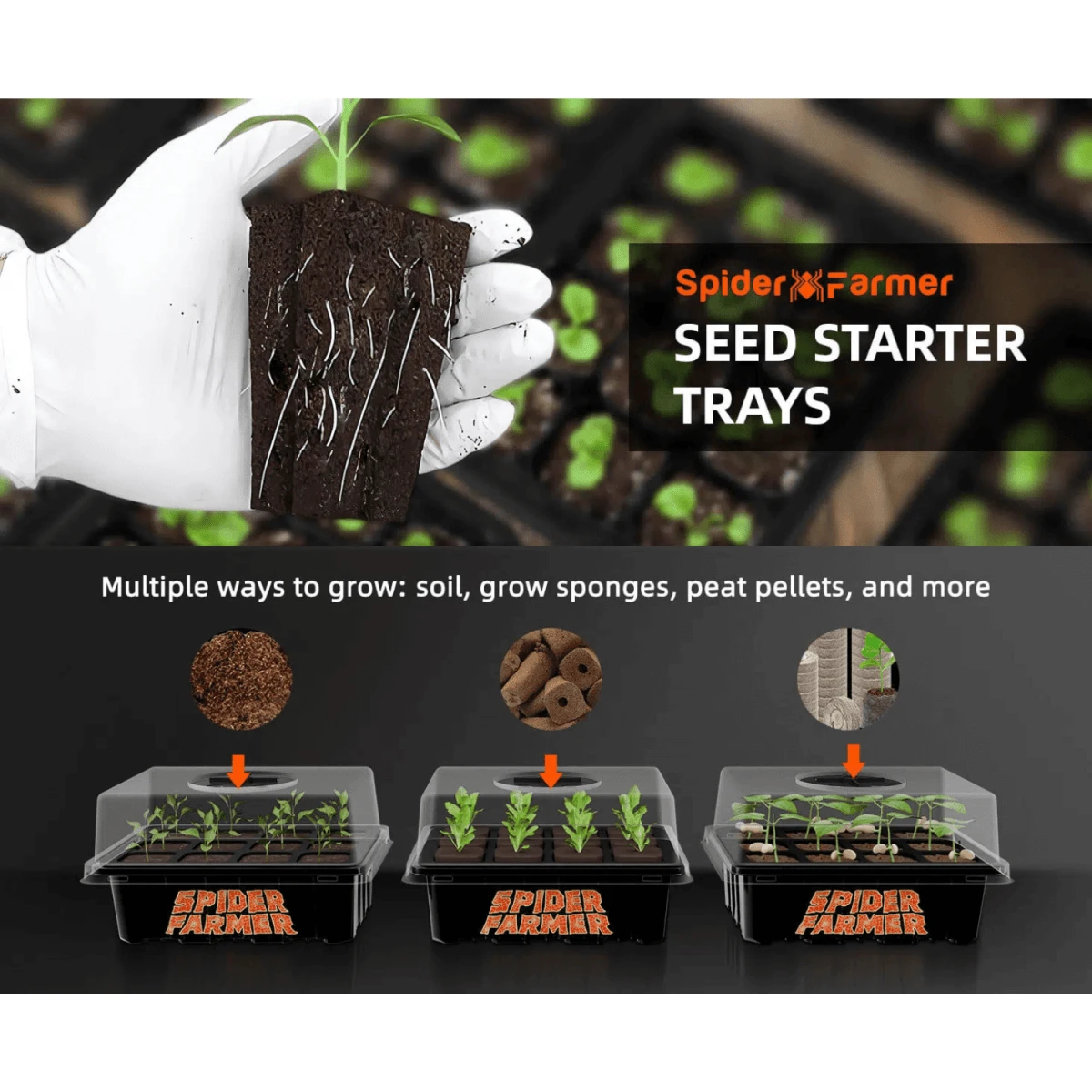 Spider Farmer Seed Starting Trays (4-Pack) | 12-Cell Trays With Domes For Optimal Germination 11 Spider Farmer Seed Starting Trays (4-Pack) | 12-Cell Trays With Domes For Optimal Germination - Image 9