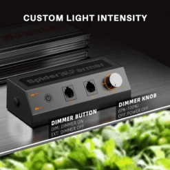 Spider Farmer SF2000 LED Grow Light + 2' X 4' Grow Tent + Inline Fan Combo With Speed Controller -Ed's plant shop spider farmer sf2000 led grow light 2 x 4 grow tent inline fan combo with speed controller 792257