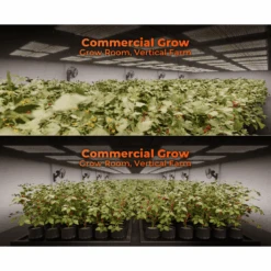 Spider Farmer SF4000 450W Dimmable Full Spectrum LED Grow Light 26 Spider Farmer SF4000 450W Dimmable Full Spectrum LED Grow Light -Ed's plant shop spider farmer sf4000 450w dimmable full spectrum led grow light 301321