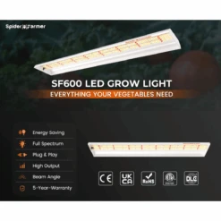 Spider Farmer SF600 74W LED Veg Grow Light | Full Spectrum Energy-Efficient Lighting 19 Spider Farmer SF600 74W LED Veg Grow Light | Full Spectrum Energy-Efficient Lighting -Ed's plant shop spider farmer sf600 74w led veg grow light full spectrum energy efficient lighting 693688