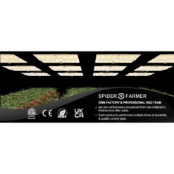 Spider Farmer SF7000 650W Full Spectrum LED Grow Light – Advanced Energy Efficiency For Professional Results -Ed's plant shop spider farmer sf7000 650w full spectrum led grow light advanced energy efficiency for professional results 587541