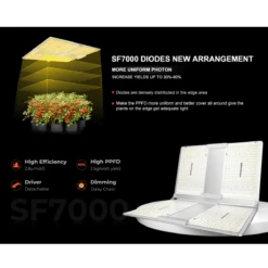 Spider Farmer SF7000 650W Full Spectrum LED Grow Light – Advanced Energy Efficiency For Professional Results -Ed's plant shop spider farmer sf7000 650w full spectrum led grow light advanced energy efficiency for professional results 720468