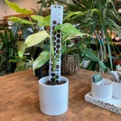 Stackable Plant Support Pole - White 11 Stackable Plant Support Pole - White -Ed's plant shop stackable plant support pole white 602620