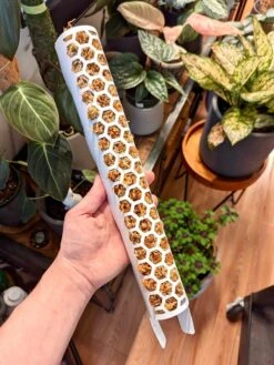 Stackable Plant Support Pole - White 15 Stackable Plant Support Pole - White -Ed's plant shop stackable plant support pole white 845383