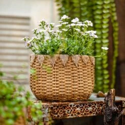 Straw Basket Cement Planter - Various Sizes -Ed's plant shop straw basket cement planter various sizes 524485