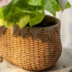 Straw Basket Cement Planter - Various Sizes -Ed's plant shop straw basket cement planter various sizes 731746