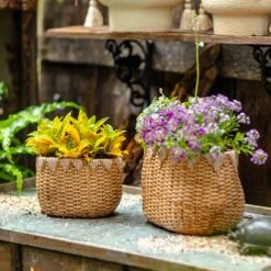 Straw Basket Cement Planter - Various Sizes -Ed's plant shop straw basket cement planter various sizes 777957