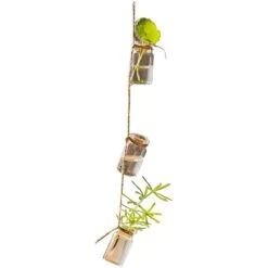 Stylish Rope Hanging Glass Planter Set Of Three 11 Stylish Rope Hanging Glass Planter Set Of Three -Ed's plant shop stylish rope hanging glass planter set of three 669953