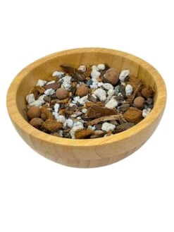 Succulent Gritty Mix – Sustainable Soil For Succulents & Dry-Weather Plants -Ed's plant shop succulent gritty mix sustainable soil for succulents dry weather plants 467820