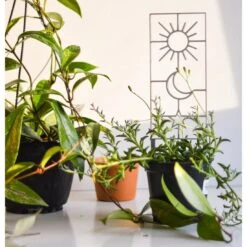 Sun, Moon & Star Houseplant Trellis 9 Sun, Moon & Star Houseplant Trellis -Ed's plant shop sun moon star houseplant trellis 824387
