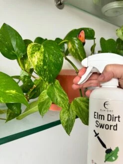 Sword - Organic Pest Control Spray For Houseplants 6 Sword - Organic Pest Control Spray For Houseplants -Ed's plant shop sword organic pest control spray for houseplants 221715