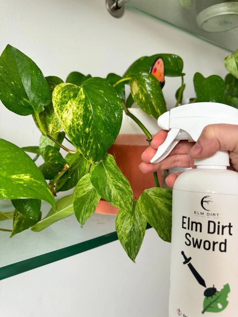 Sword - Organic Pest Control Spray For Houseplants 4 Sword - Organic Pest Control Spray For Houseplants - Image 2