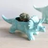 Teal Triceratops Dinosaur Planter 1 Teal Triceratops Dinosaur Planter -Ed's plant shop teal triceratops dinosaur planter 5130447