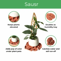Tera SAUSR – Monstera Leaf Plant Saucer & Humidity Tray For Root Rot Prevention -Ed's plant shop tera sausr leaf shaped pot saucer drip tray for houseplants humidity tray 814411