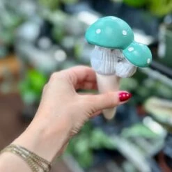 Terra Cotta Mushroom Self-Watering Spikes -Ed's plant shop terra cotta mushroom self watering spikes 552300