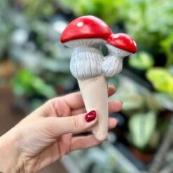 Terra Cotta Mushroom Self-Watering Spikes -Ed's plant shop terra cotta mushroom self watering spikes 616421