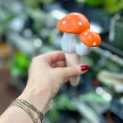 Terra Cotta Mushroom Self-Watering Spikes -Ed's plant shop terra cotta mushroom self watering spikes 816957