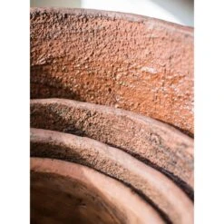 Terracotta & Concrete Planter Pot -Ed's plant shop terracotta concrete planter pot 289561