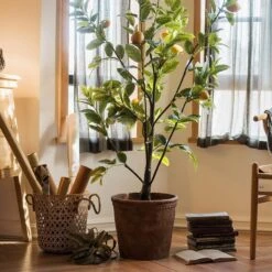 Terracotta & Concrete Planter Pot -Ed's plant shop terracotta concrete planter pot 845791