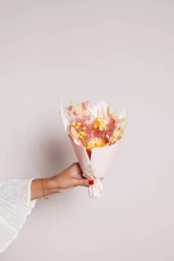 The Sunset Mini Bouquet -Ed's plant shop the sunset mini bouquet 355032