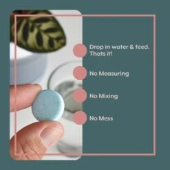 Thrive Bundle (Online Only) (Plant Food + Probiotics) For HOUSEPLANTS -Ed's plant shop thrive bundle online only plant food probiotics for houseplants 743738