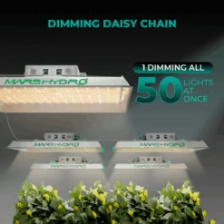 TS1000 LED Grow Light | Full Spectrum, Energy Efficient, Beginner-Friendly 23 TS1000 LED Grow Light | Full Spectrum, Energy Efficient, Beginner-Friendly -Ed's plant shop ts1000 led grow light full spectrum energy efficient beginner friendly 422619