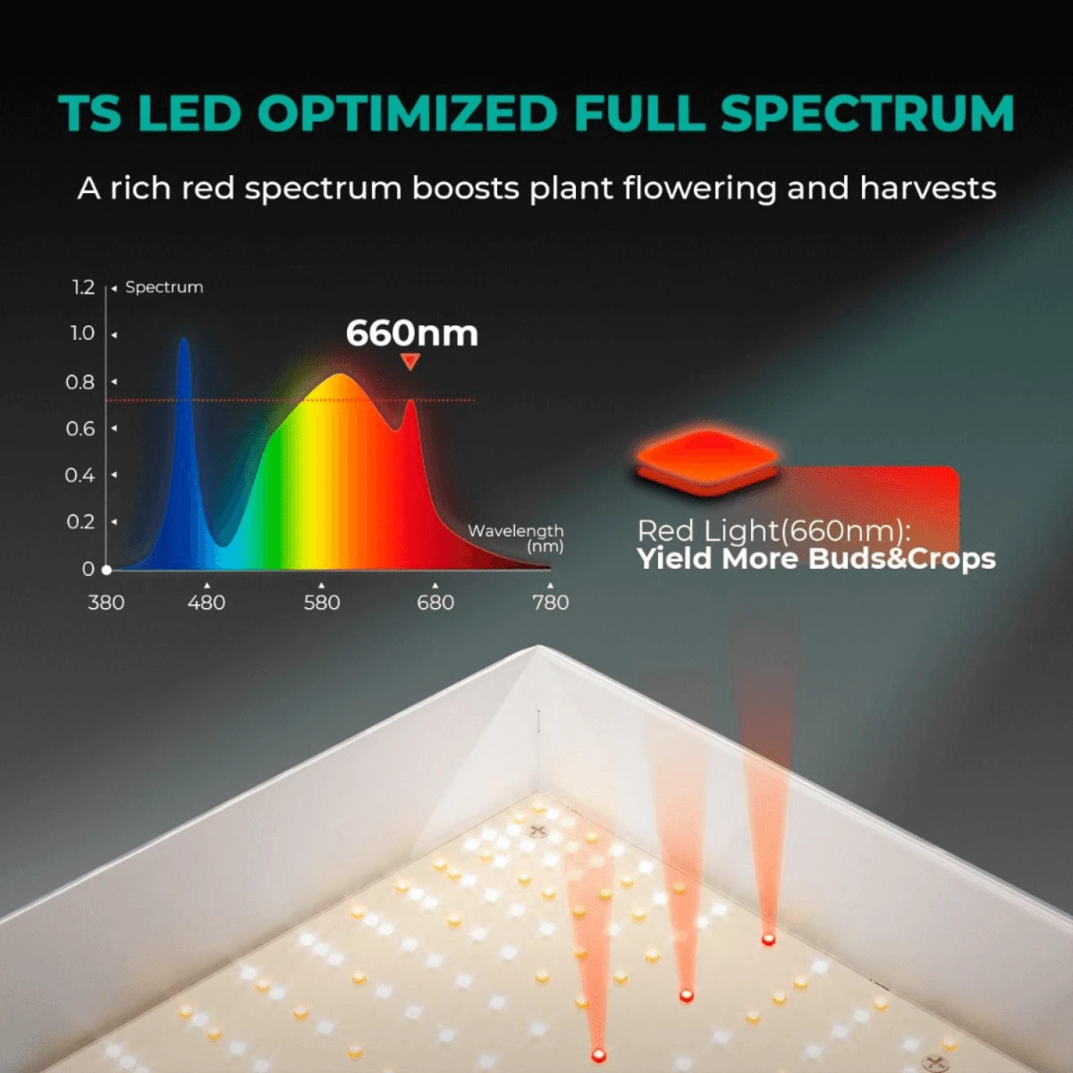 TS1000 LED Grow Light | Full Spectrum, Energy Efficient, Beginner-Friendly 6 TS1000 LED Grow Light | Full Spectrum, Energy Efficient, Beginner-Friendly - Image 4