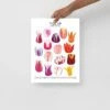 Tulip Species ID Chart - Botanical Floral Art Print