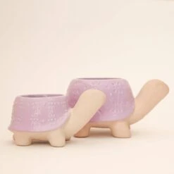 Turtle Ceramic Planter -Ed's plant shop turtle ceramic planter 140374