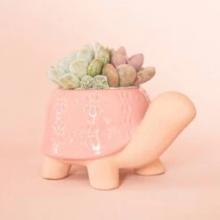Turtle Ceramic Planter -Ed's plant shop turtle ceramic planter 830467