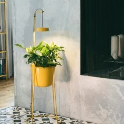 Uplift Planter By Modern Sprout -Ed's plant shop uplift planter by modern sprout 257195