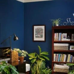 Vita™ LED Grow Light Bulb- Dimmable -Ed's plant shop vita led grow light bulb dimmable 996972