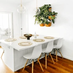 WallyGrow Eco Terracotta Wall Planter – Self-Watering Vertical Garden Kit -Ed's plant shop wallygrow eco terracotta wall planter self watering vertical garden kit 1461050