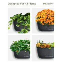 WallyGrow Eco Terracotta Wall Planter – Self-Watering Vertical Garden Kit -Ed's plant shop wallygrow eco terracotta wall planter self watering vertical garden kit 3935100