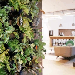 WallyGrow Eco Wall Planter – Charcoal Vertical Garden Planter 15 WallyGrow Eco Wall Planter – Charcoal Vertical Garden Planter -Ed's plant shop wallygrow eco wall planter charcoal vertical garden planter 4706221