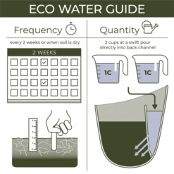 WallyGrow Eco Wall Planter – Oat Vertical Garden Planter For Modern Indoor Spaces -Ed's plant shop wallygrow eco wall planter oat vertical garden planter for modern indoor spaces 202253