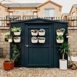 WallyGrow Eco Wall Planter – Oat Vertical Garden Planter For Modern Indoor Spaces -Ed's plant shop wallygrow eco wall planter oat vertical garden planter for modern indoor spaces 926342