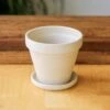 White Terracotta Planter Pot With Water Saucer -Ed's plant shop white terracotta planter pot with water saucer various sizes 536432