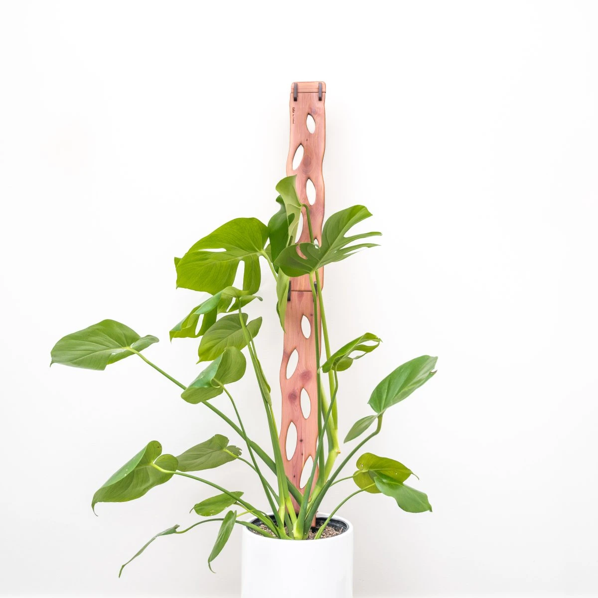 Wooden Extendable Plant Support & Trellis - Zella 6 Wooden Extendable Plant Support & Trellis - Zella - Image 4