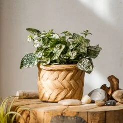 Woven Bamboo Styled Basket - Concrete - Various Sizes -Ed's plant shop woven bamboo styled basket concrete various sizes 146027